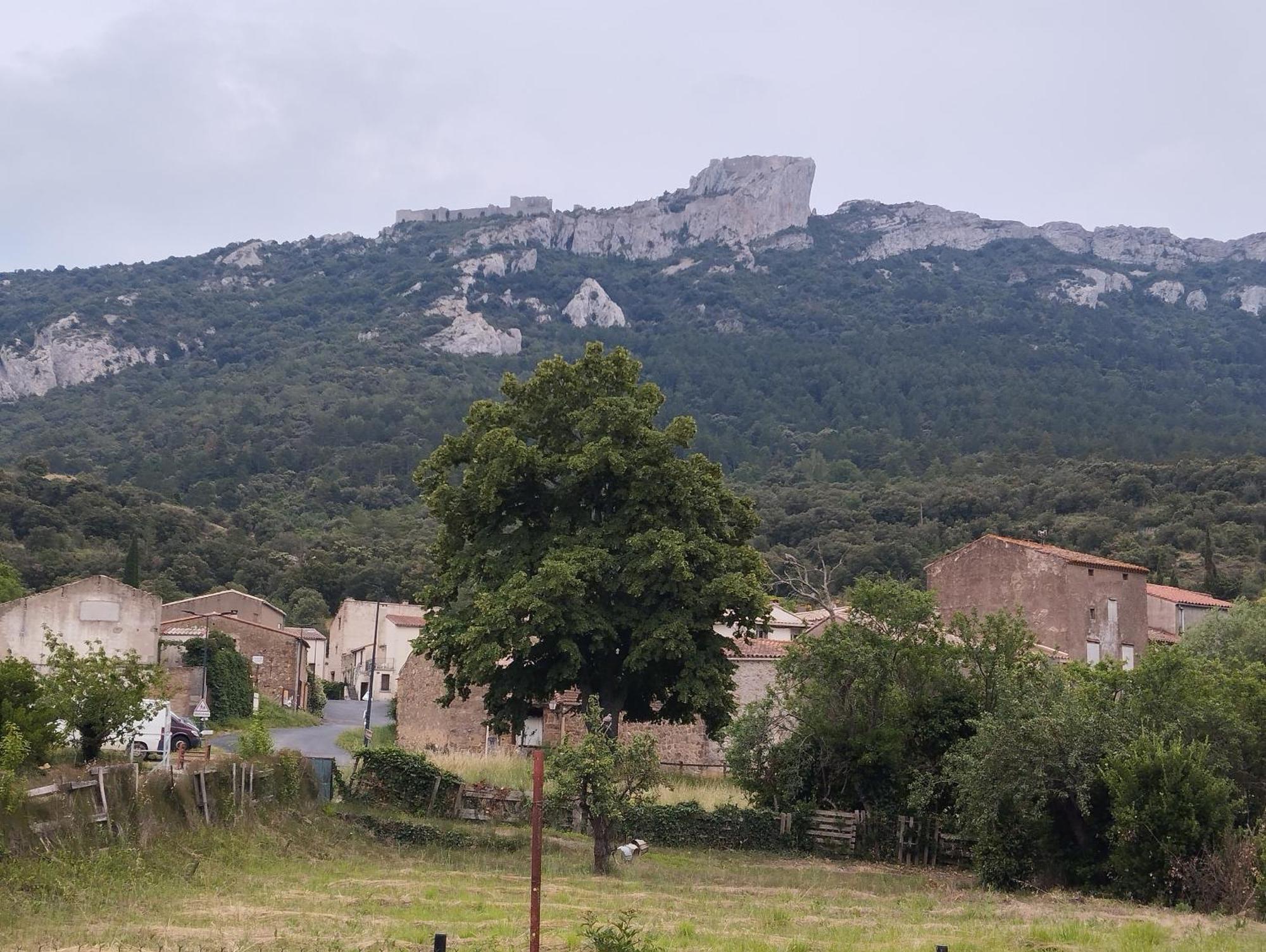 Maison Du Verdouble Rouffiac-des-Corbieres Bagian luar foto